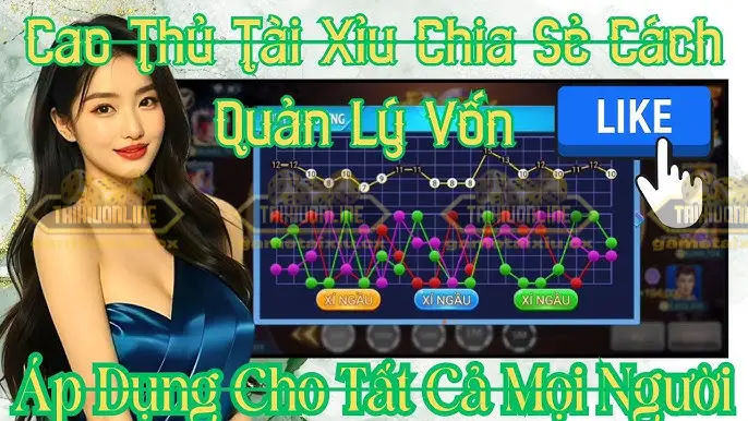 meo quan ly von khi choi tai xiu 68b003aa18718