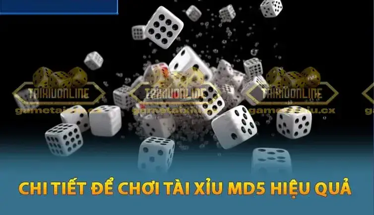 Tài xỉu MD5 là gì? Chơi game Tài xỉu MD5 - Cẩm nang từ A đến Z 5 Các bước quan sát, phân tích trong game Tài xỉu MD5