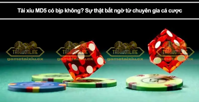Tài xỉu MD5 là gì? Chơi game Tài xỉu MD5 - Cẩm nang từ A đến Z 6 Dành thời gian để tham khảo các dữ liệu sẵn có
