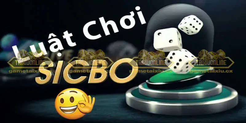 Tài xỉu Sicbo là gì? Chơi game Tài xỉu Sicbo hấp dẫn 5 Tích lũy kinh nghiệm và kiên trì theo đuổi chiến thuật