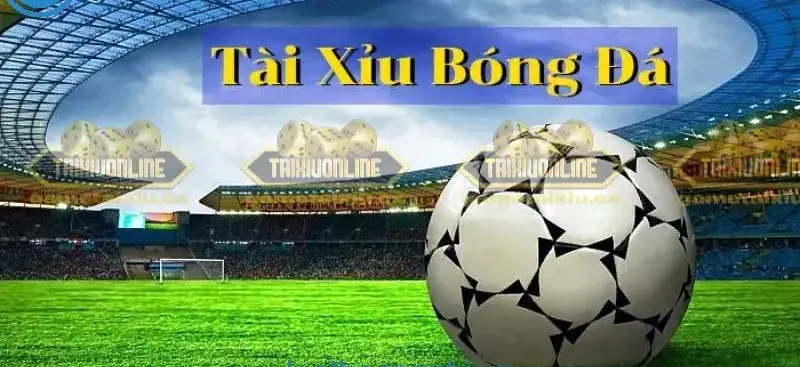 Tài xỉu trong bóng đá - Chiến thuật hấp dẫn và bí quyết chinh phục 3 Nhiều người quan tâm đến Tài xỉu trong bóng đá